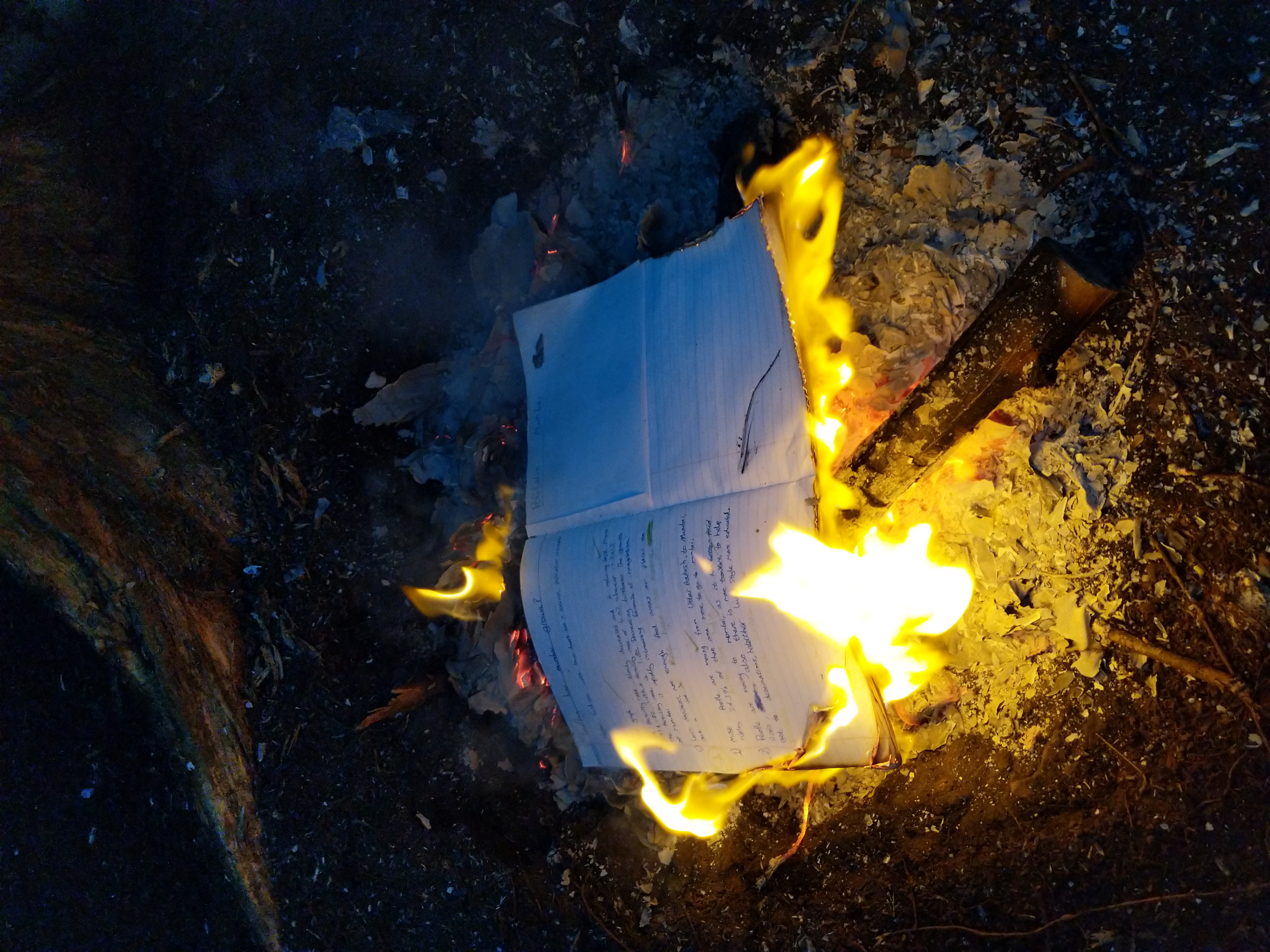 IMG_20180811_200337_1